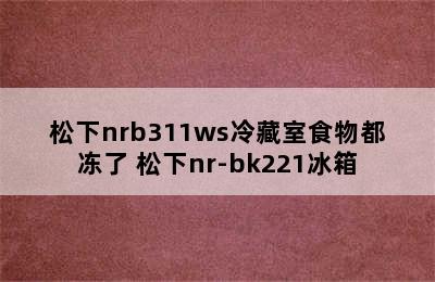 松下nrb311ws冷藏室食物都冻了 松下nr-bk221冰箱